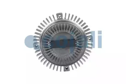 cojali-8110106