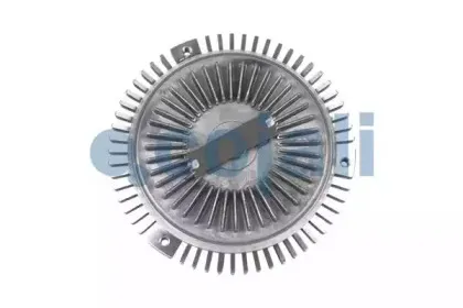 cojali-8124131