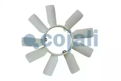 cojali-8124630