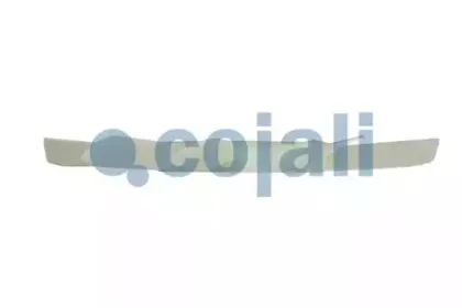 cojali-8124630