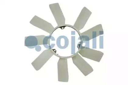 cojali-8124630
