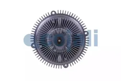 cojali-8126115
