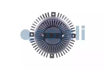 cojali-8127106