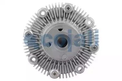 cojali-8134103