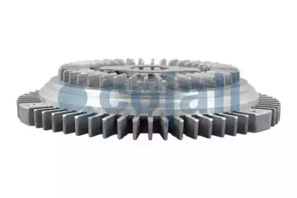 cojali-8137105
