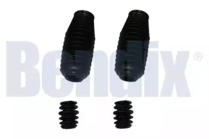bendix-062010b