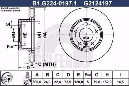 B1.G224-0197.1 GALFER