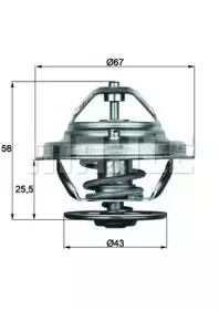 TX 19 75D BEHR Термостат, охлаждающая жидкость