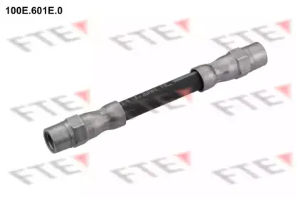 fte-100e601e0
