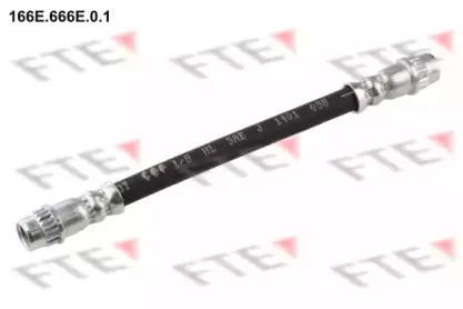 166E.666E.0.1 FTE