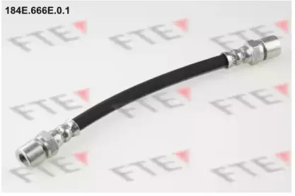 fte-184e666e01
