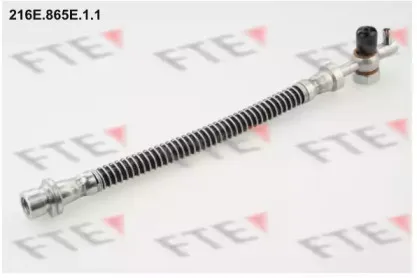 fte-216e865e11