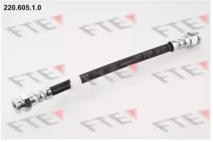 220.605.1.0 FTE Тормозной шланг
