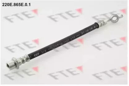 fte-220e865e01