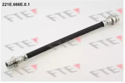 fte-221e666e01