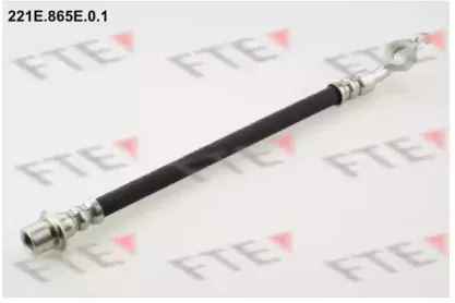 221E.865E.0.1 FTE