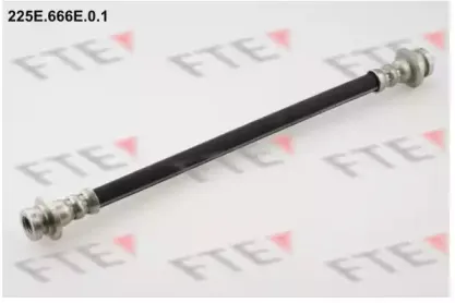 fte-225e666e01