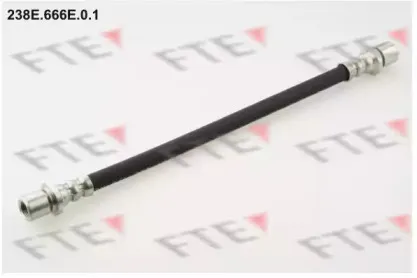 fte-238e666e01