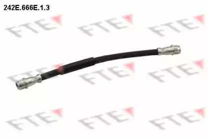 fte-242e666e13