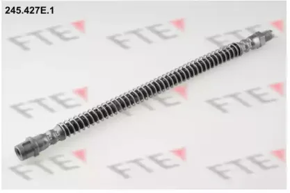 245.427E.1 FTE