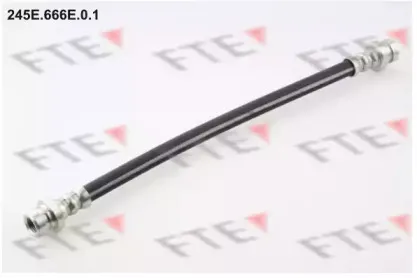 fte-245e666e01