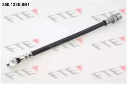 fte-250133e0b1