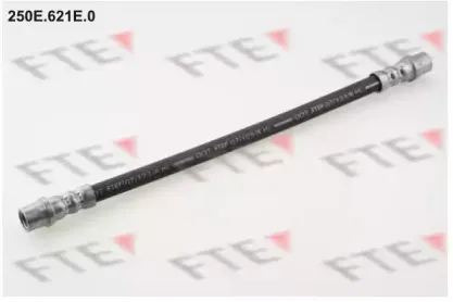 250E.621E.0 FTE