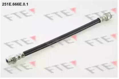 fte-251e666e01