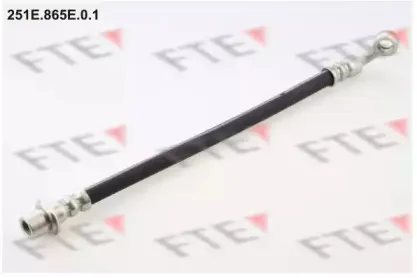 fte-251e865e01