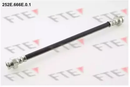 fte-252e666e01