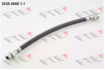 fte-253e666e11