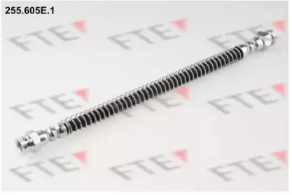 fte-255605e1