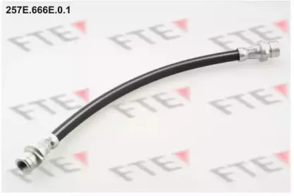 fte-257e666e01