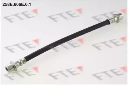 fte-258e666e01