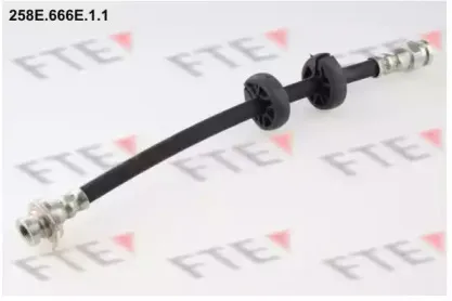 fte-258e666e11