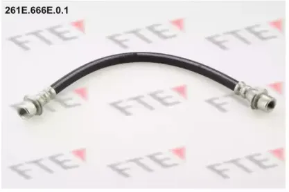 fte-261e666e01
