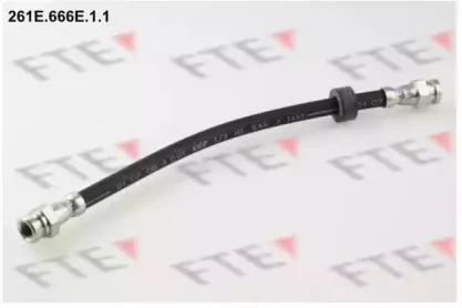 261E.666E.1.1 FTE