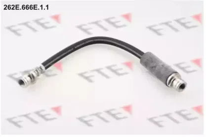 fte-262e666e11