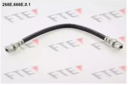 fte-268e666e01