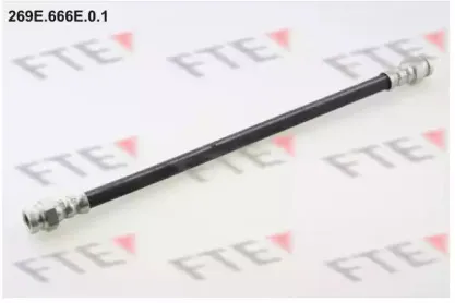 fte-269e666e01