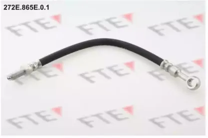 fte-272e865e01