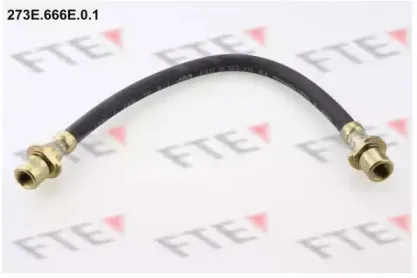 fte-273e666e01