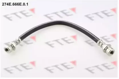 fte-274e666e01