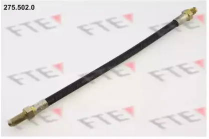 fte-2755020