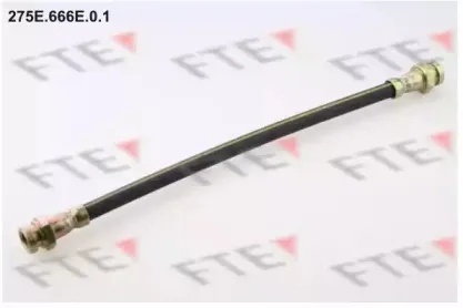 fte-275e666e01