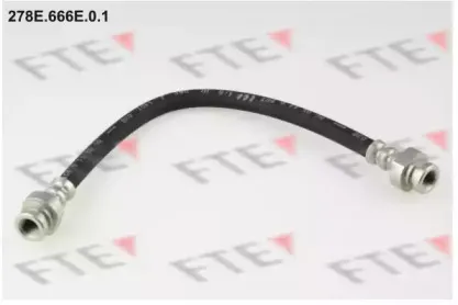 fte-278e666e01