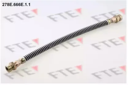 fte-278e666e11