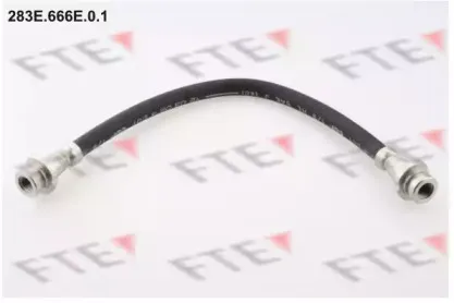 fte-283e666e01