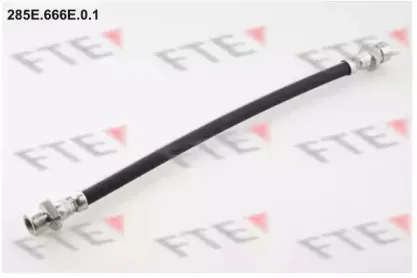 fte-285e666e01