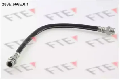 fte-288e666e01
